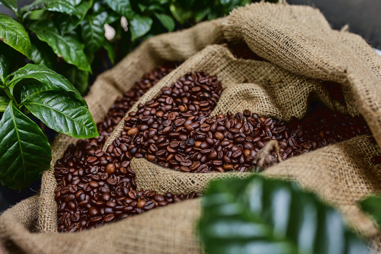 Single Origin - Artisan Java Tea