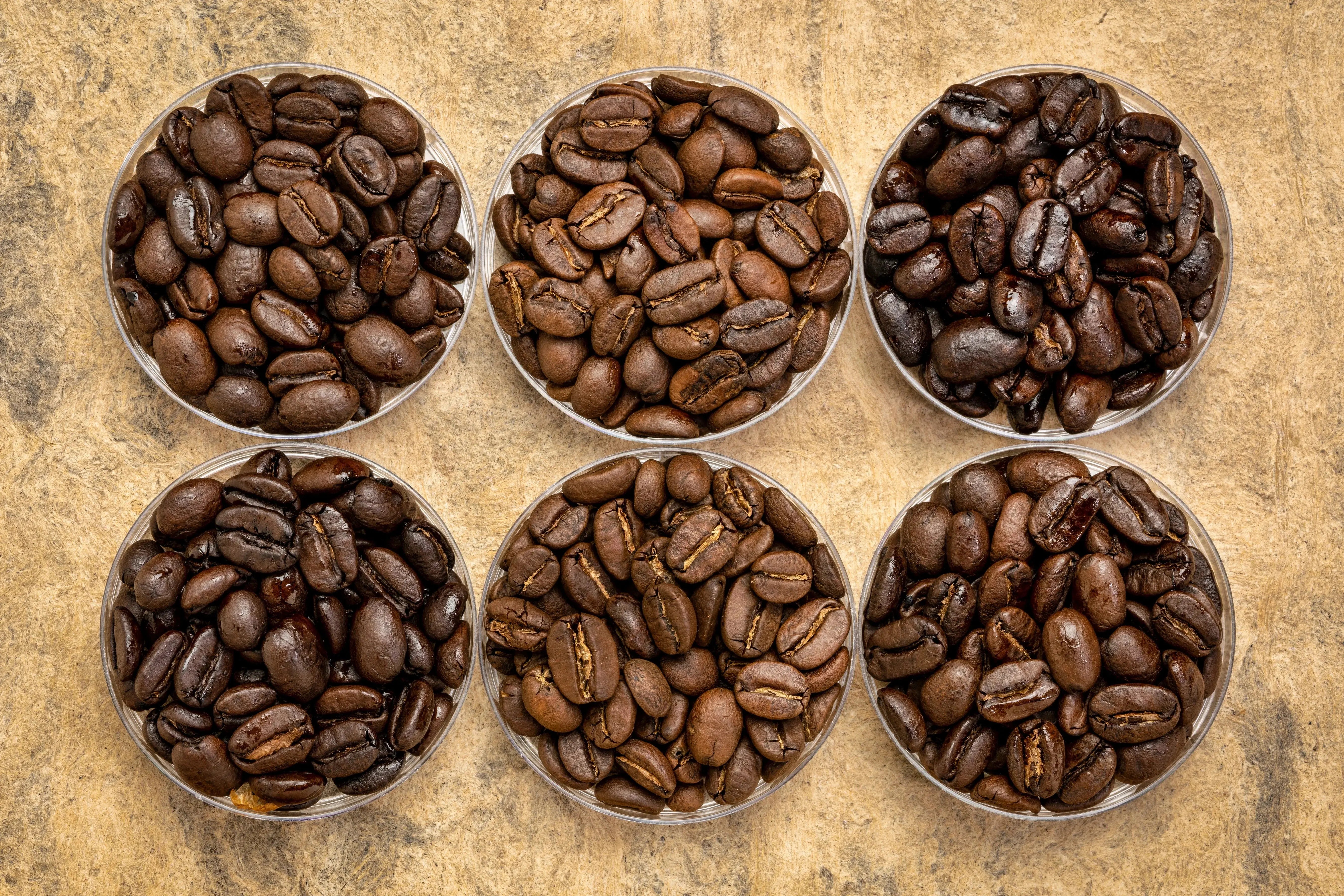Blends - Artisan Java Tea Blends - a taste adventure you won't forget